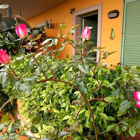 Casa Marta Bed and Breakfast Massa  Buitenkant foto