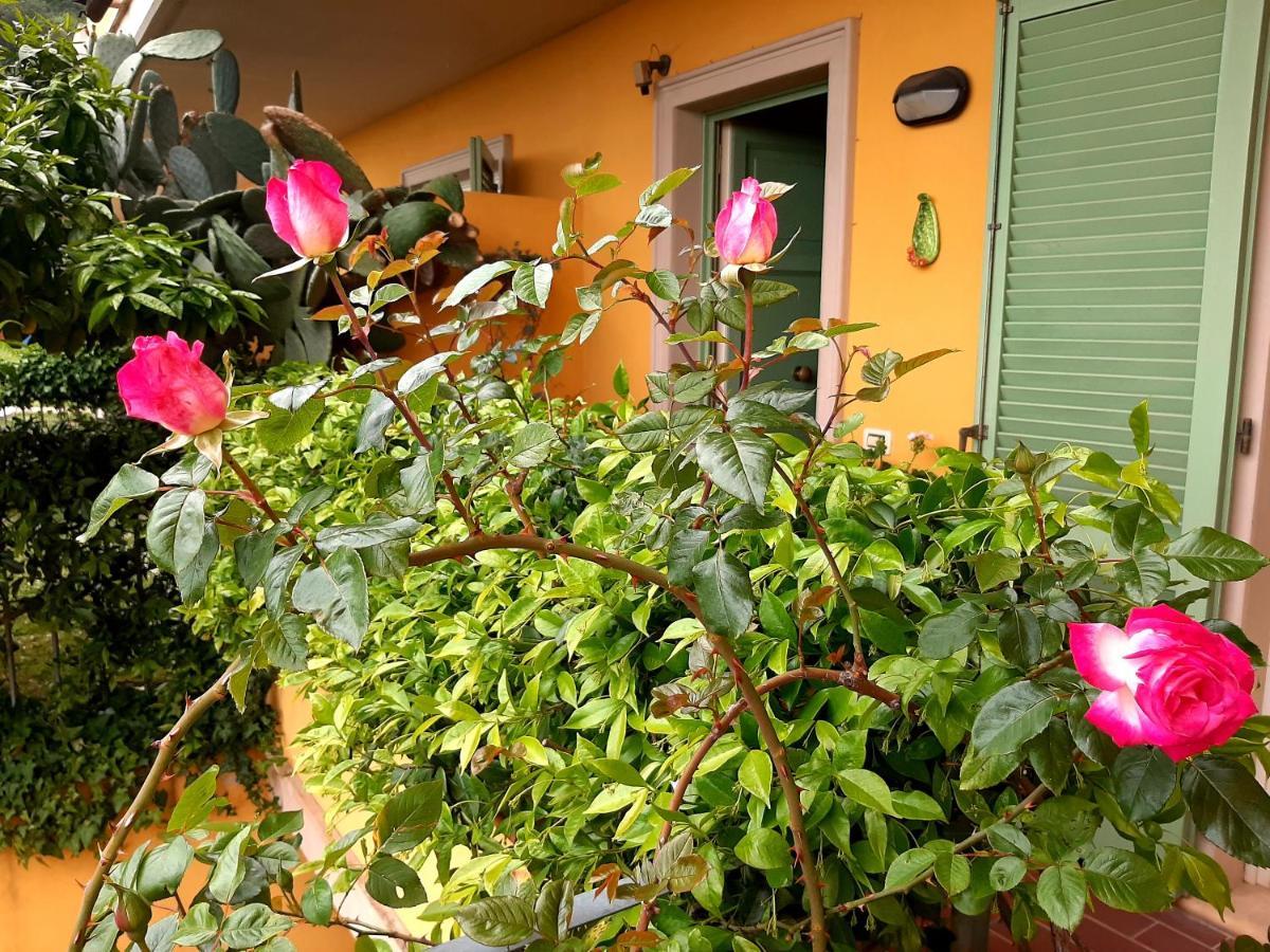 Casa Marta Bed and Breakfast Massa  Buitenkant foto